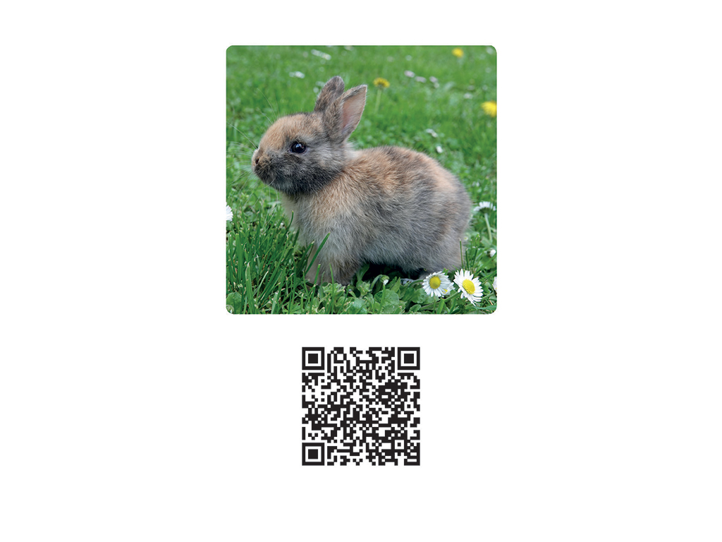 Carte Montessori avec QR code