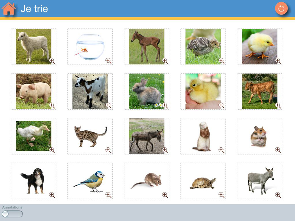 Logiciel Vocabulaire en Maternelle - trier les animaux
